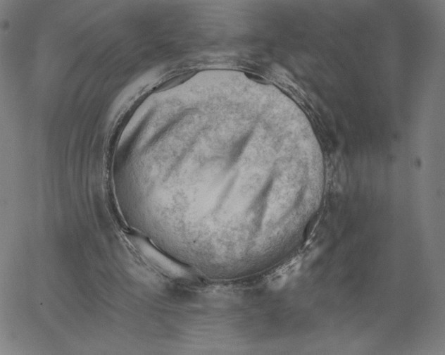 X0000062610293200601181636