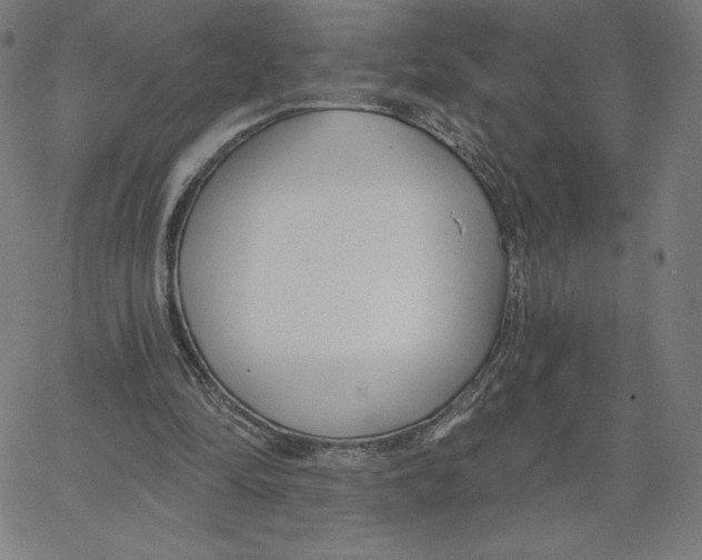 X0000062610294200601181636