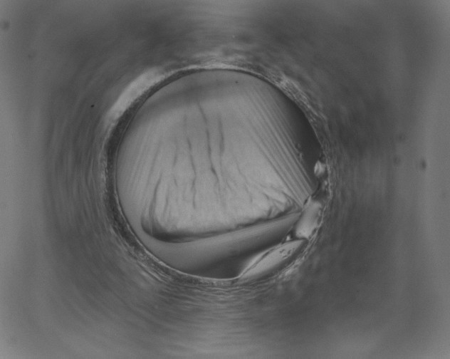 X0000062610295200601181636