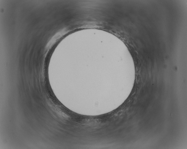 X0000062610296200601181636