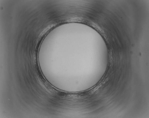 X0000062610298200601181636