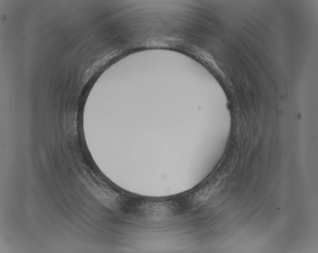 X0000062610299200601181636