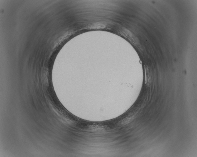 X0000062610300200601181636