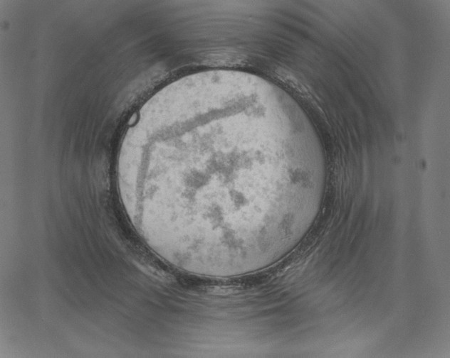 X0000062610303200601181636