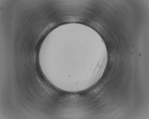 X0000062610304200601181636