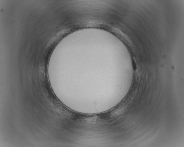 X0000062610306200601181636