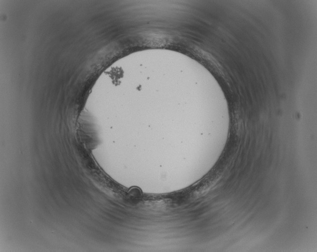 X0000062610307200601181636