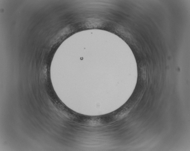 X0000062610308200601181636