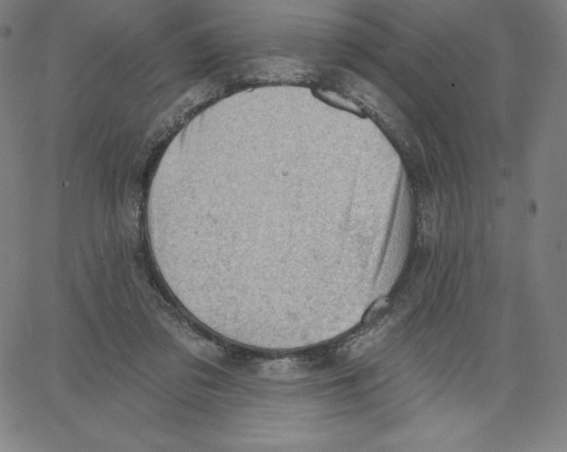 X0000062610309200601181636