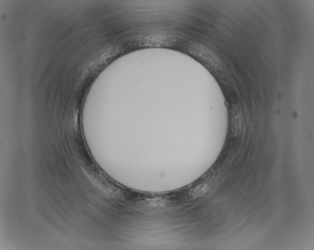 X0000062610310200601181636