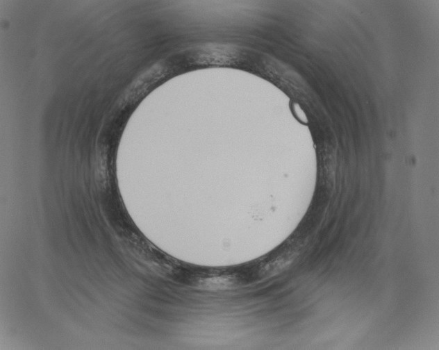 X0000062610312200601181636