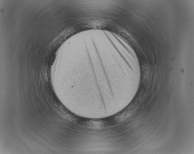 X0000062610313200601181636