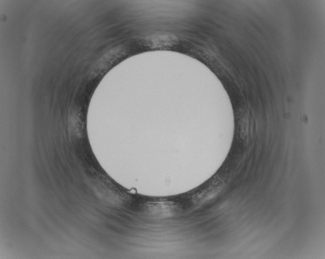 X0000062610316200601181636