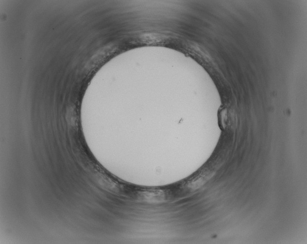 X0000062610317200601181636