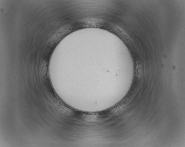 X0000062610318200601181636