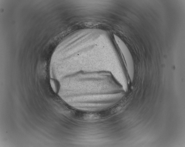 X0000062610319200601181636