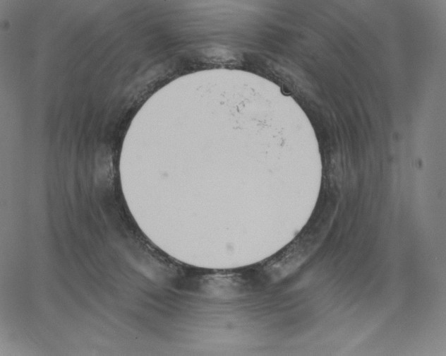 X0000062610320200601181636