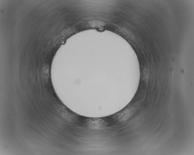 X0000062610321200601181636