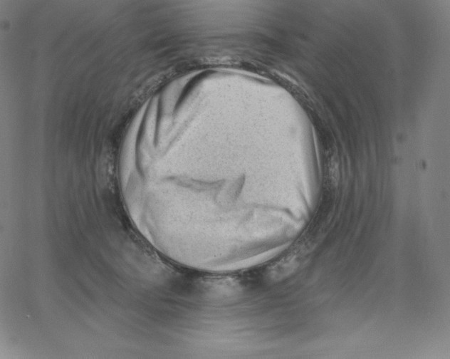 X0000062610322200601181636