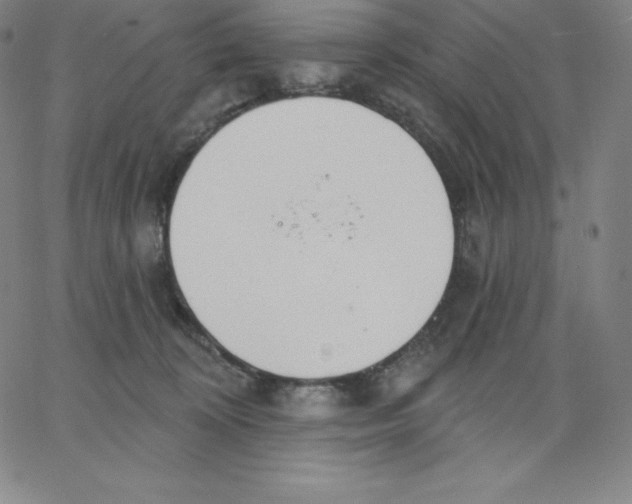 X0000062610324200601181636