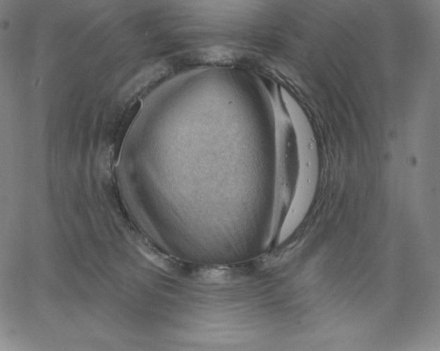 X0000062610325200601181636