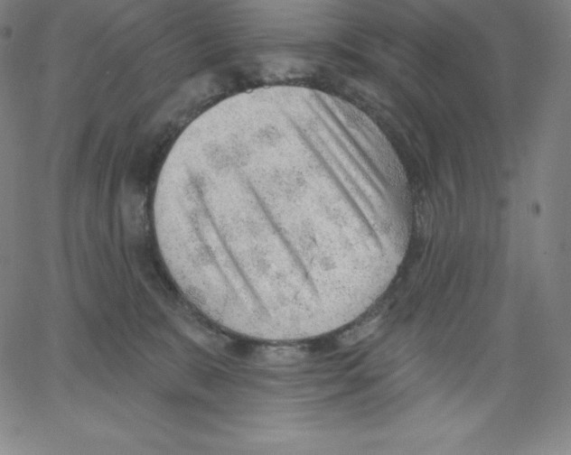 X0000062610327200601181636