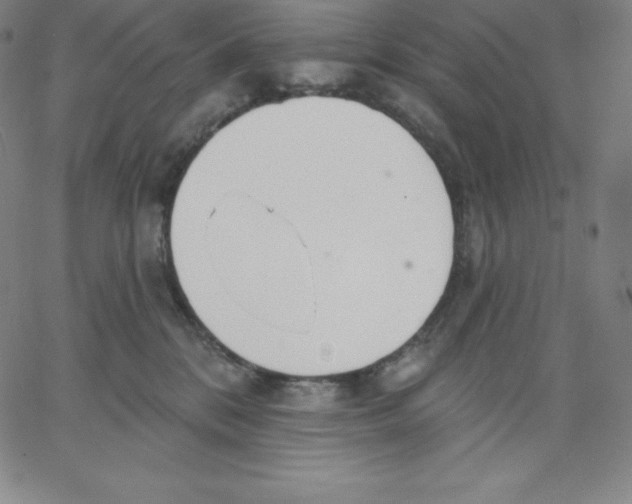 X0000062610328200601181636