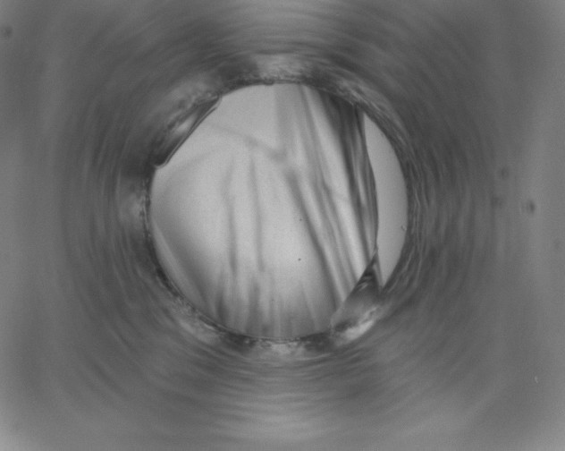 X0000062610329200601181636