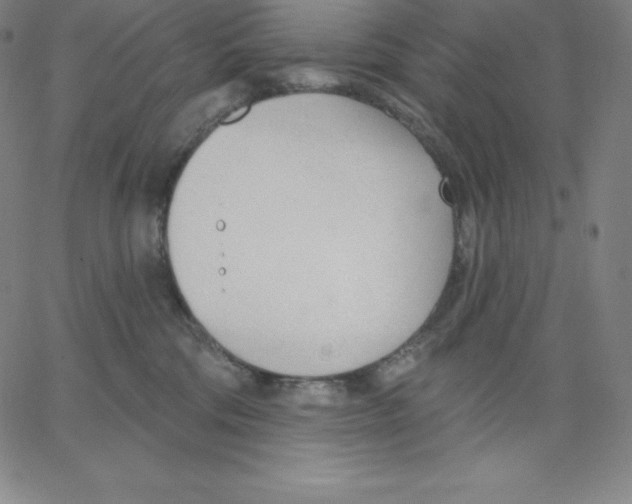 X0000062610330200601181636