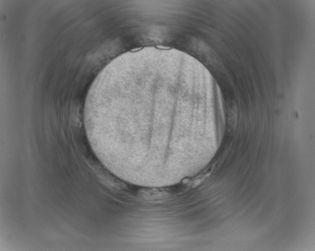 X0000062610331200601181636