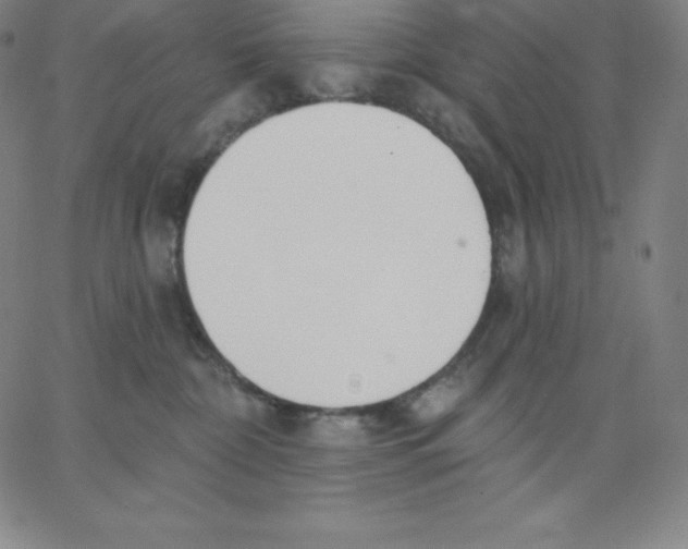 X0000062610332200601181636