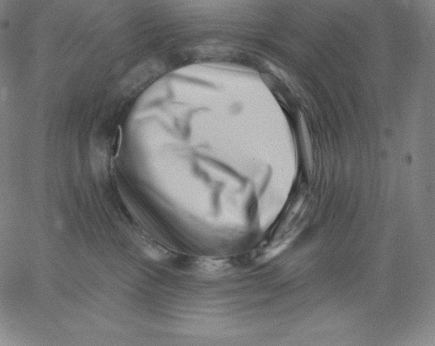 X0000062610333200601181636