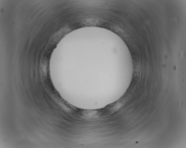 X0000062610334200601181636