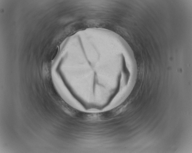 X0000062610335200601181635