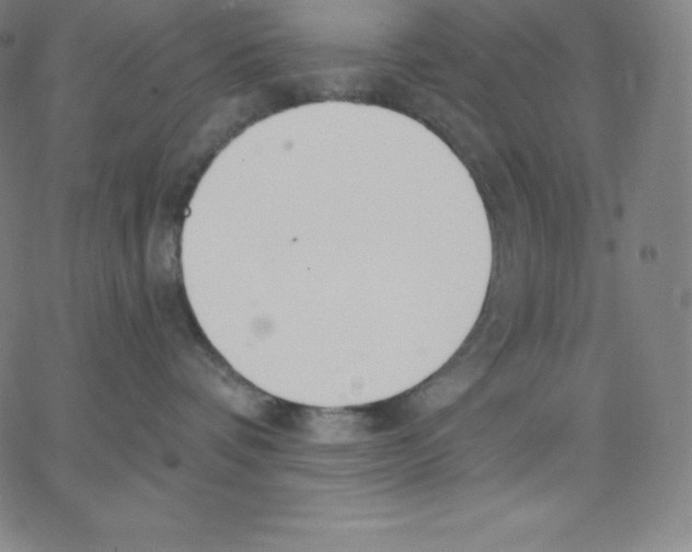 X0000062610336200601181635