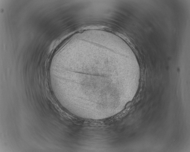 X0000062610337200601181635