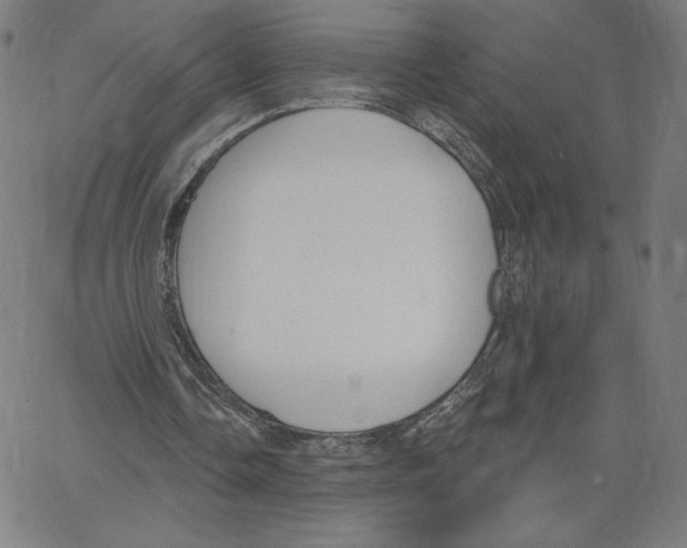 X0000062610338200601181635