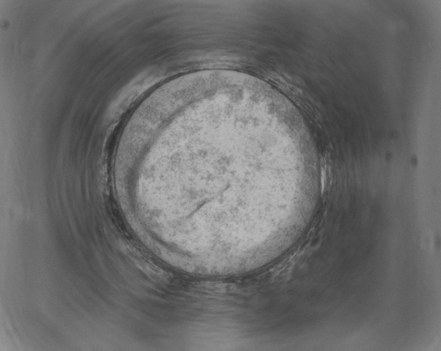 X0000062610339200601181635