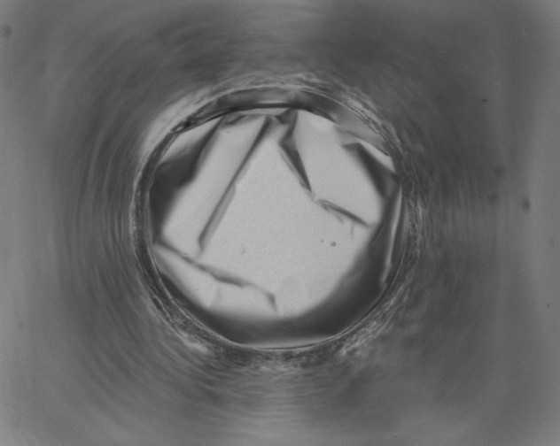 X0000062610340200601181635