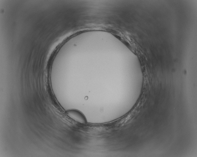 X0000062610342200601181635