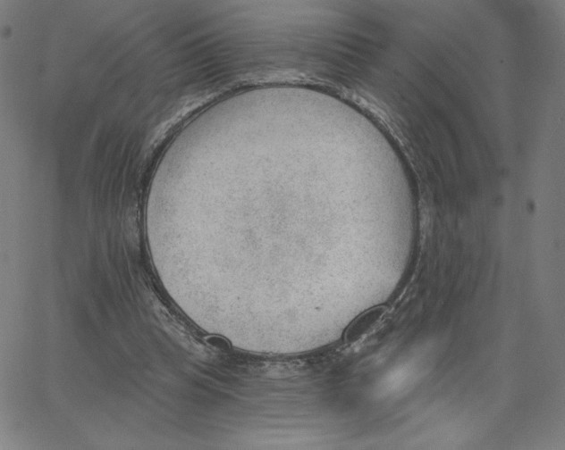 X0000062610345200601181635