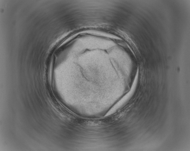 X0000062610346200601181635