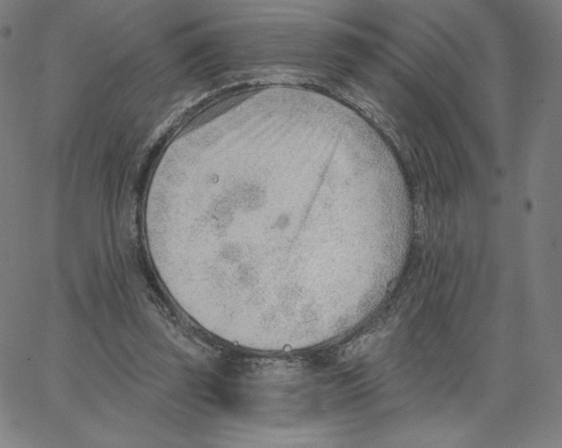 X0000062610347200601181635