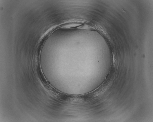 X0000062610348200601181635