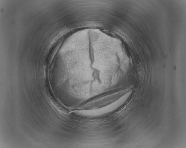 X0000062610350200601181635