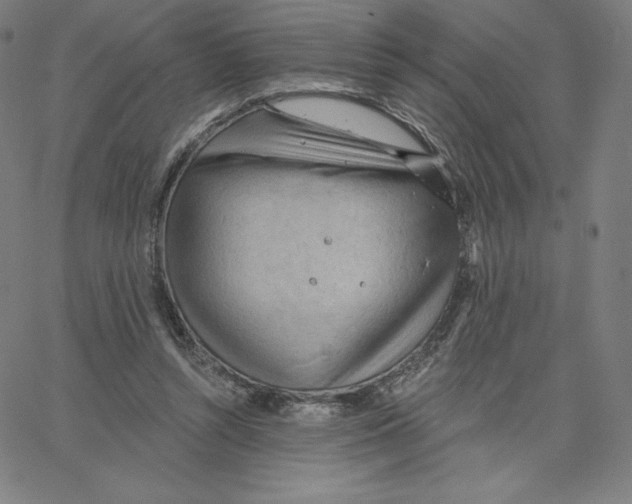 X0000062610352200601181635