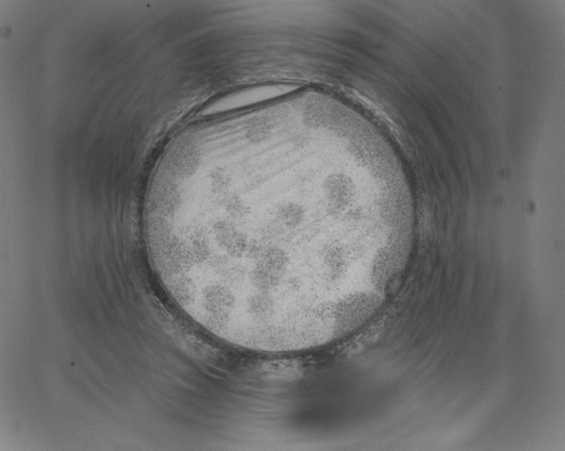 X0000062610353200601181635