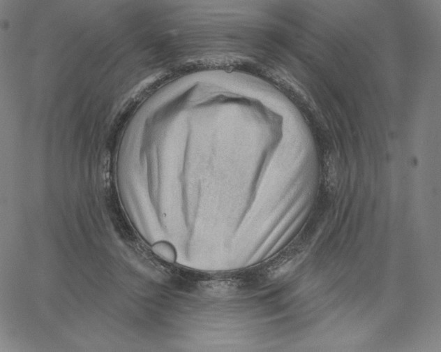 X0000062610356200601181635