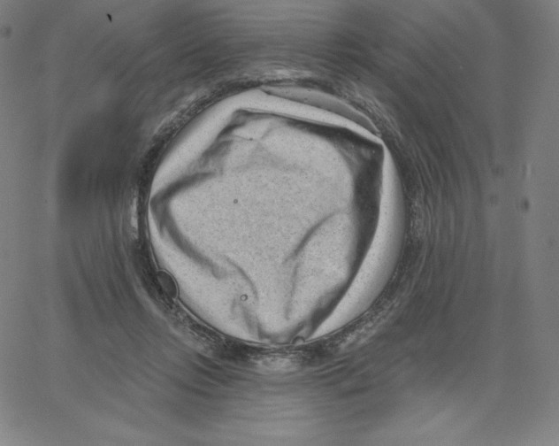 X0000062610358200601181635