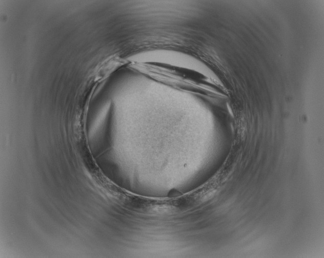 X0000062610360200601181635